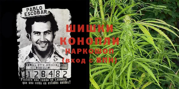 сатива Волосово