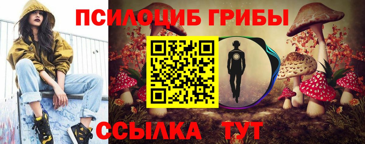 Галлюциногенные грибы мицелий Можайск