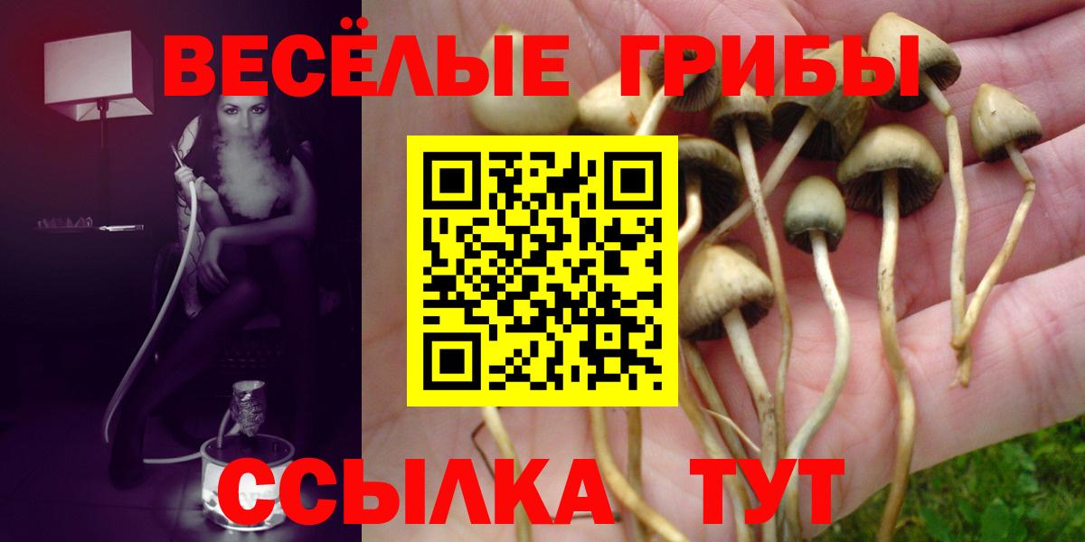 Псилоцибиновые грибы Psilocybe  Вход с VPN  Псилоцибиновые грибы мицелий  Можайск 